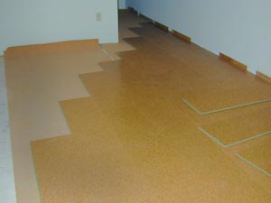  Cork Floor Pic 5